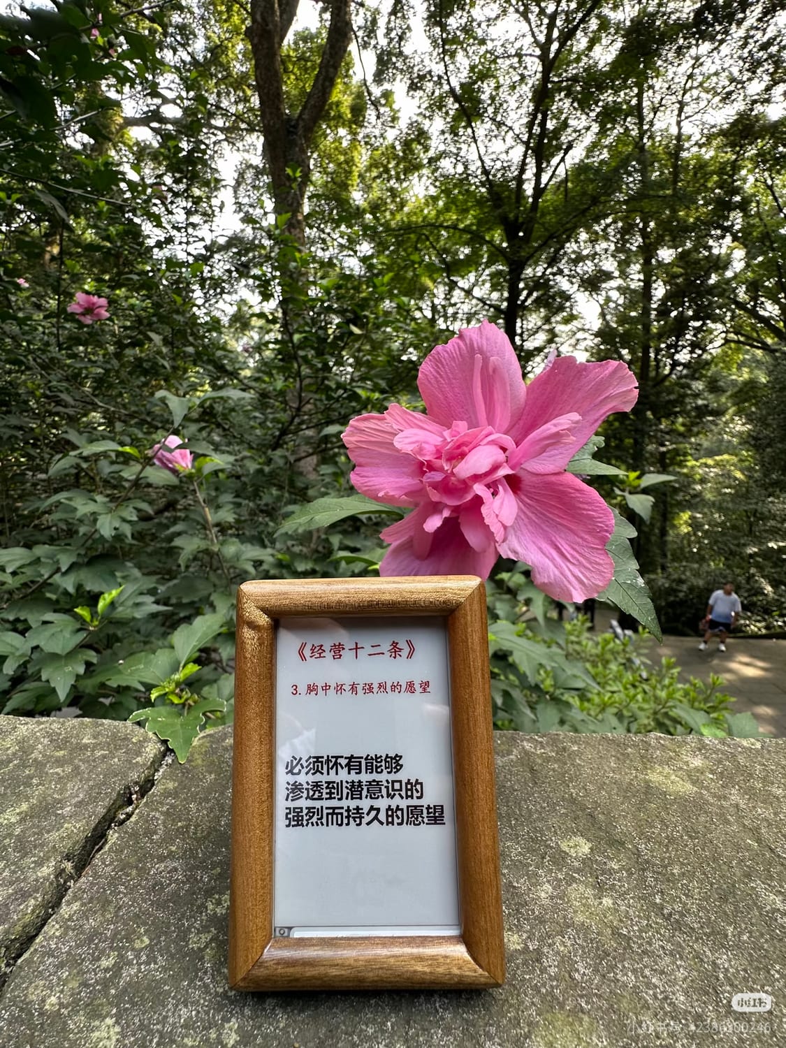 帧伴 3.97 寸智能墨水屏